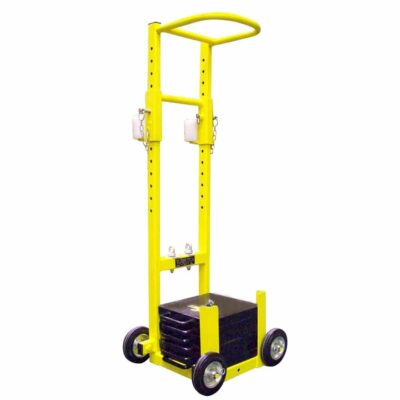 peso de carro DW 100.2