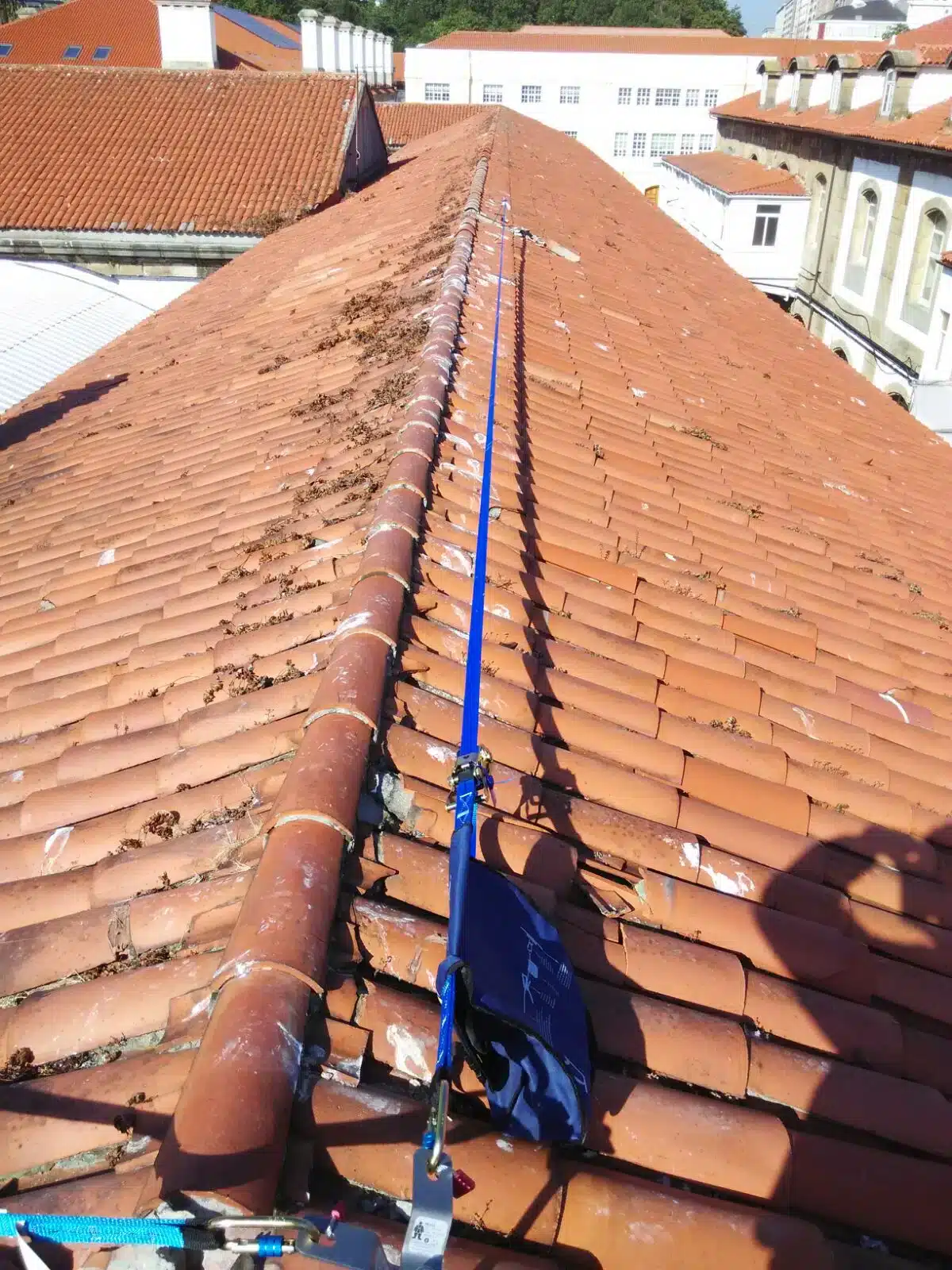 Líneas de vida temporales